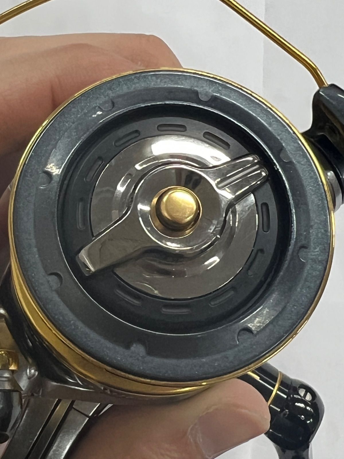 ＢＢ-Ｘデスピナ２５００ＤＨＧ
