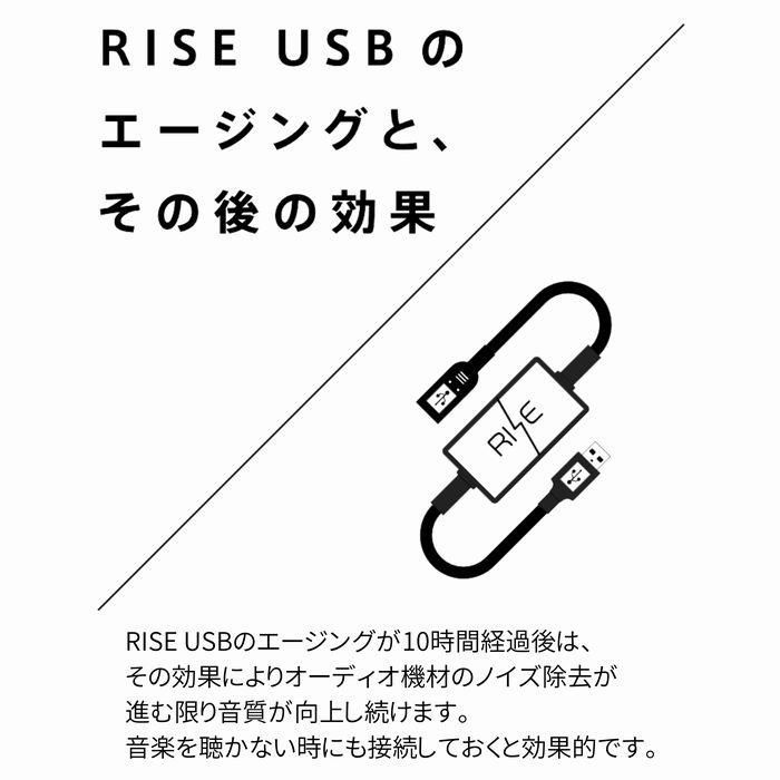 Third Technology RISE USB AA-01 USBノイズフィルター サードテクノロジー