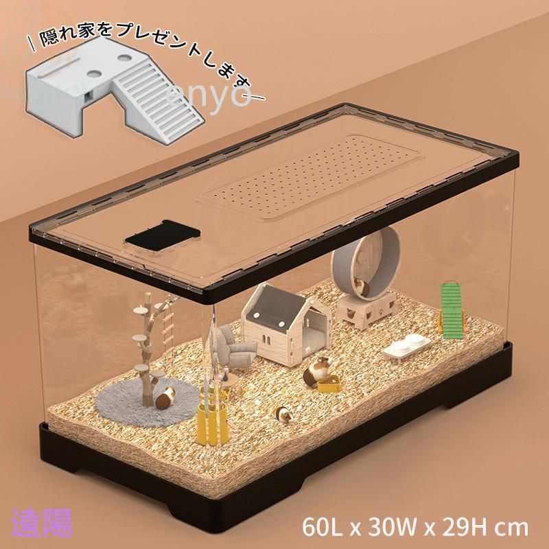 モルモ