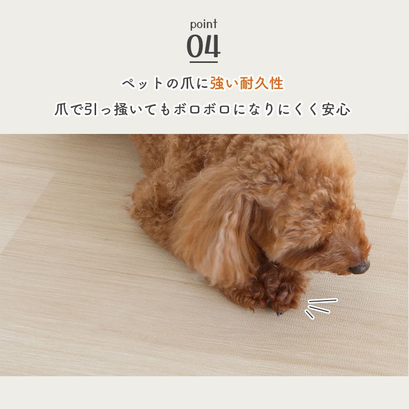 おしゃれ