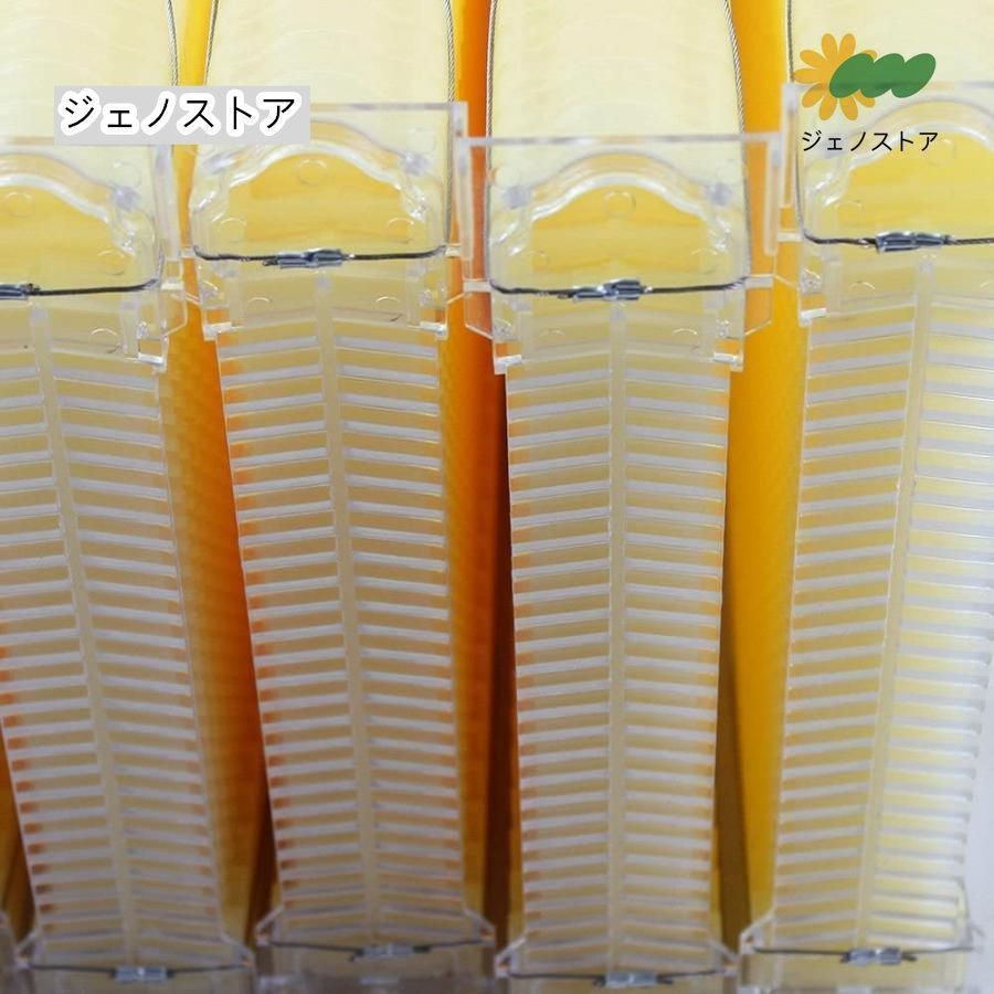 自流蜜蜂巣