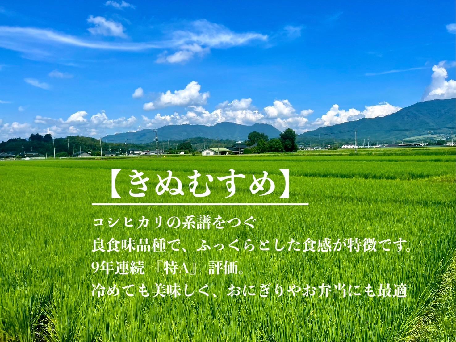特A】令和7年産 岡山県産 きぬむすめ 玄米30kg - メルカリ