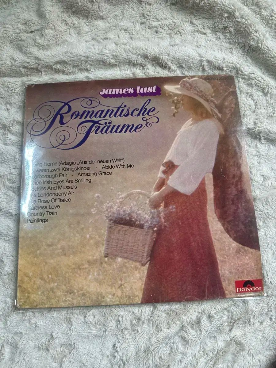 レア!1750円盤 レコード極美! オデオン赤盤 ビートルズがやってくる