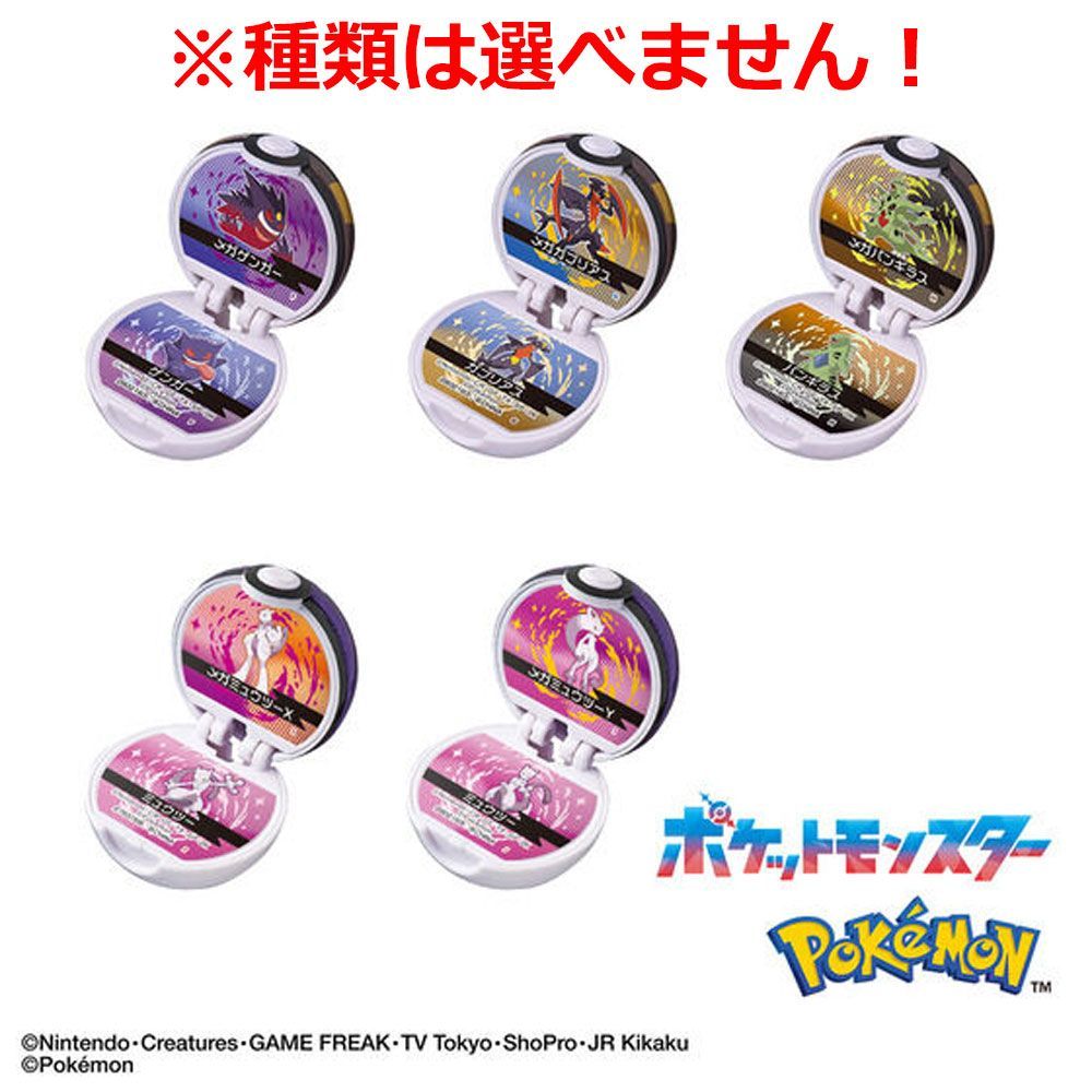 びっくら？たまご ポケットモンスター モンスターボールコレクション13