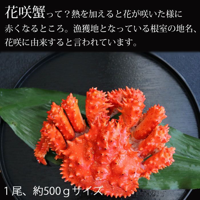 いてそのま 花咲がに 5尾（約400−500ｇサイズ） ボイル 北海道産 花咲