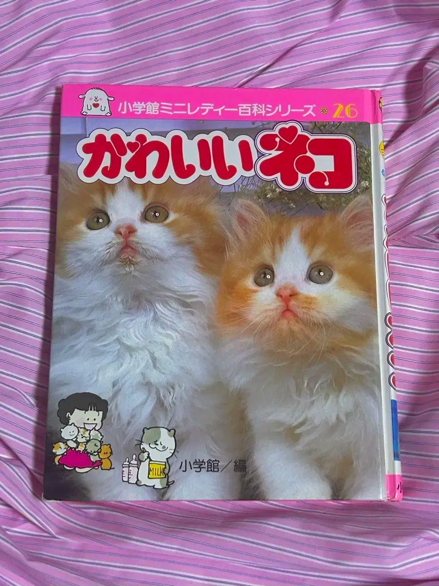 6 30 まで 日本 昭和レトロ 古典 猫 にゃんこ大戦争 ネコ 本