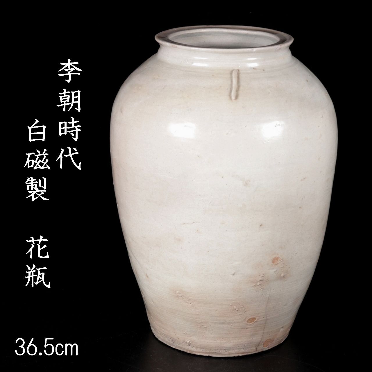 ヴァンガード イメージカラー スリーブ 江端トウヤ 共通面 宝石