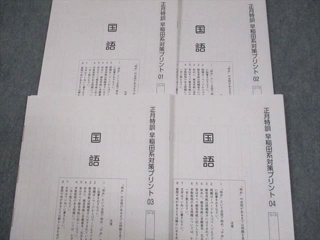 SAPIX サピックス 小6 国語 早稲田コース 冬期講習/正月特訓 早稲田系対策プリント テスト計10回 2024 018S2D SAPIX サピックス 小6 国語 正月特訓 早稲田系対策プリント 01