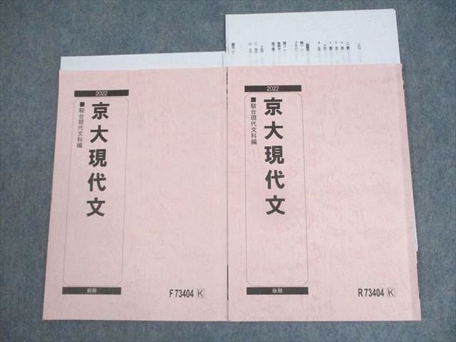 駿台 京都大学 京大現代文 テキスト通年セット 2022 計2冊 中野芳樹