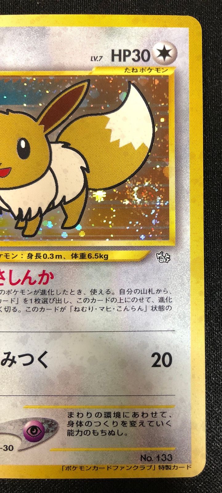 旧裏ブイズ 旧裏】イーブイ(○)(PMCG-PK02-046-048)｜ポケカ通販サイト