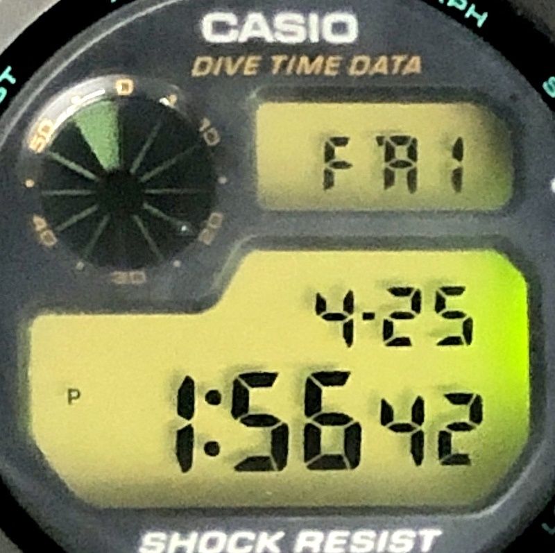 G-SHOCK ジーショック DW-6300-1A FROGMAN 初代フロッグマン 国内