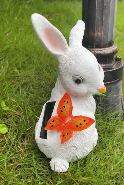 動物