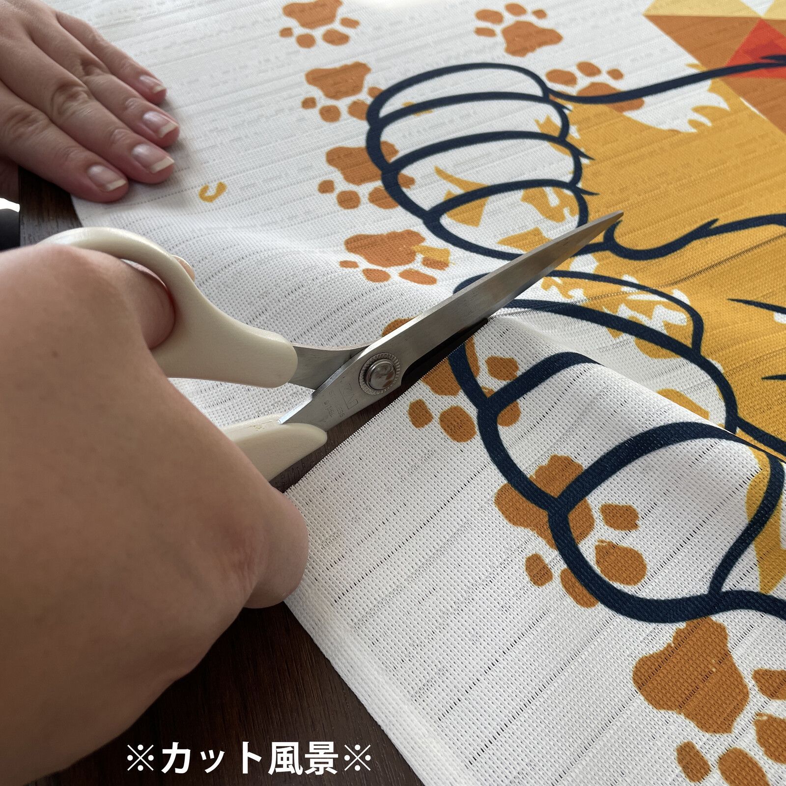 のれん 暖簾 目隠し 間仕切り ディズニー Disney ライオンキング