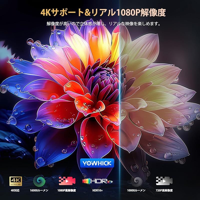 ホームプ 1