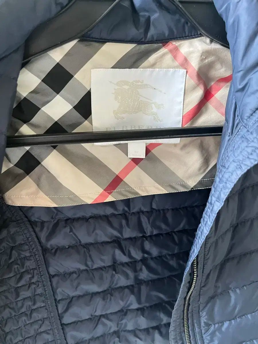 バーバリー 離乳する