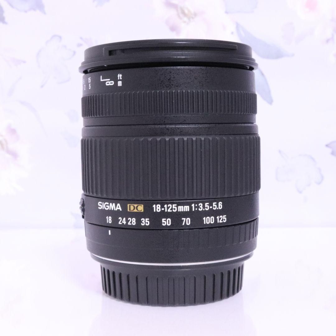 シグマ 18-125mm