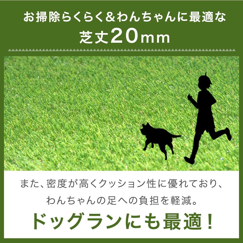 芝丈20mm