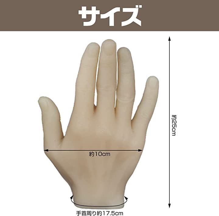 模型 ハンド