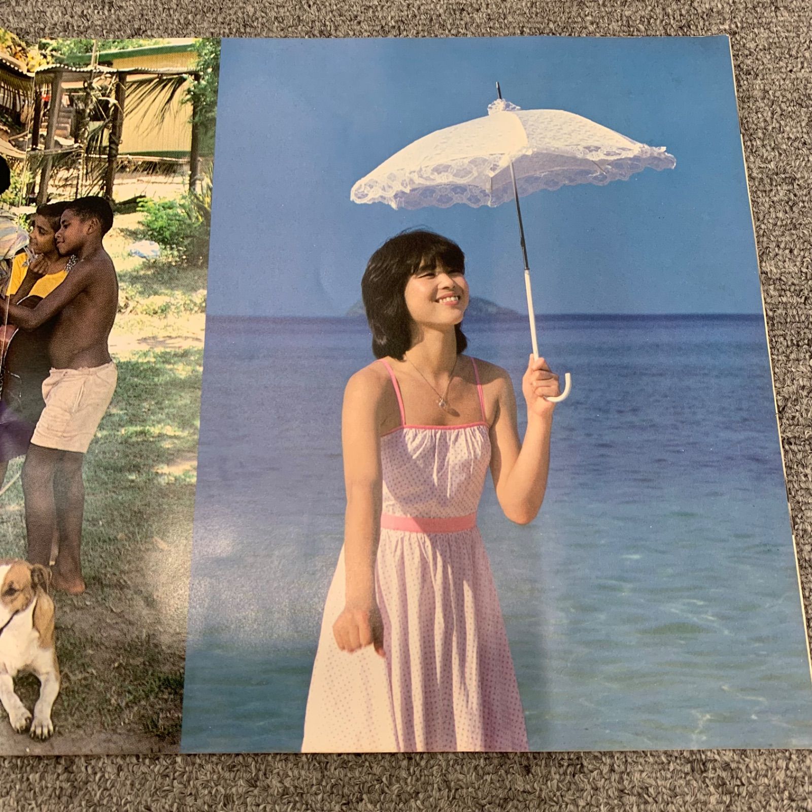 貴重1981年　松田聖子コンサート　パンフ 松田聖子 コンサートパンフレット (1981年 春 4月～6月) / 古本