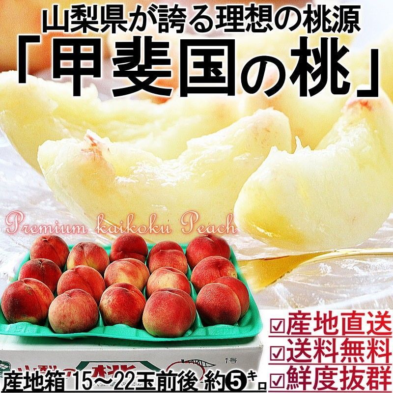 【1～3週間出荷予定】 産地直送 甲斐国の桃 5kg 15～22玉 山梨県産 秀品 お中元 ギフト 白桃 白鳳 笛吹 一宮 塩山エリア厳選  高糖度 高品質 高鮮度