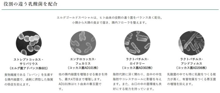 ランキングや新製品 新品、未使用 新 エルグゴールド スペシャル 1箱