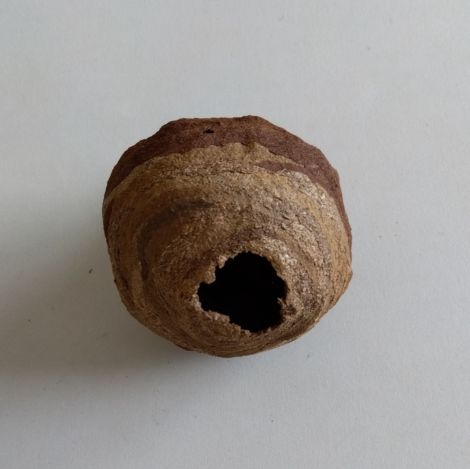 甕 素焼き スズメ蜂の巣模様 エリー242 甕 素焼き スズメ蜂の巣模様 エリー242