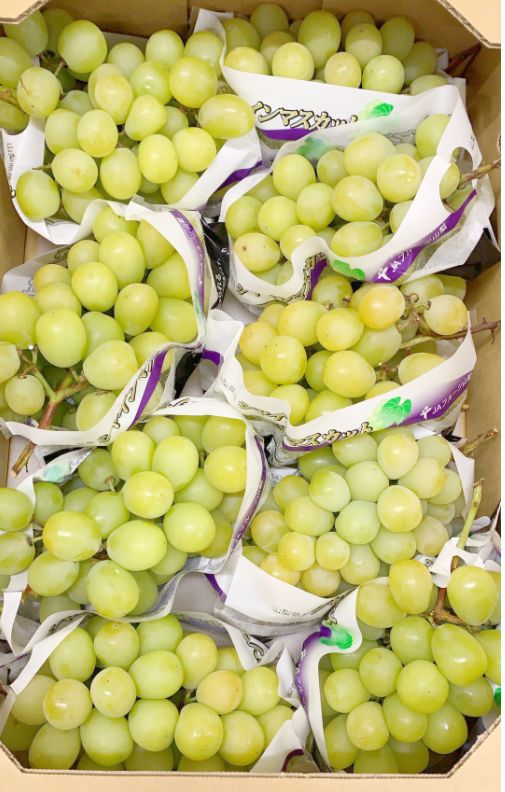 青森県産 王林 B級品 20キロ 木箱サイズダンボール 詰 わけ