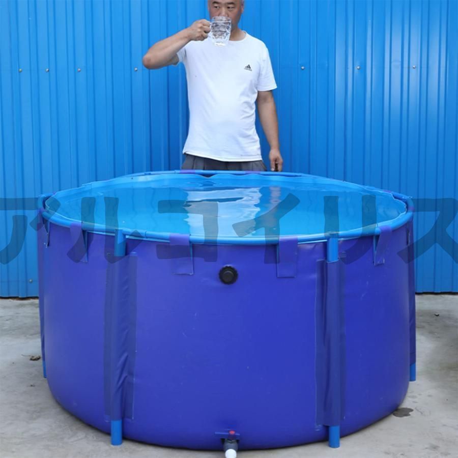 庭の池 立体養魚池