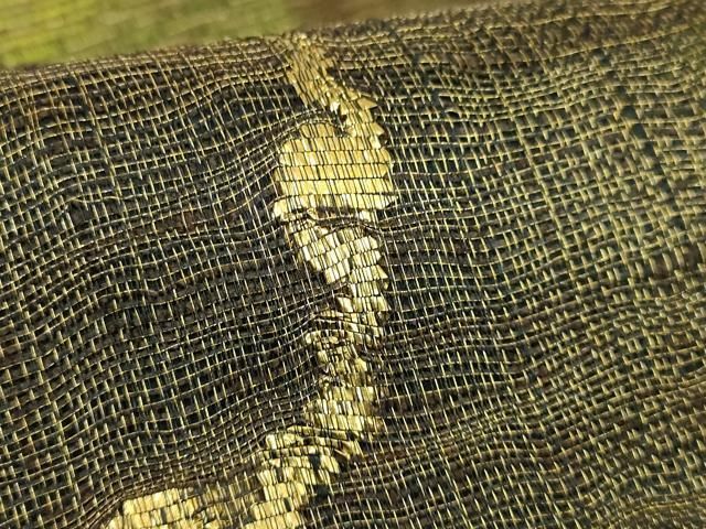 平和屋着物□極上 西陣 老舗 渡文謹製 手織 太鼓柄袋帯 さざ波 金糸