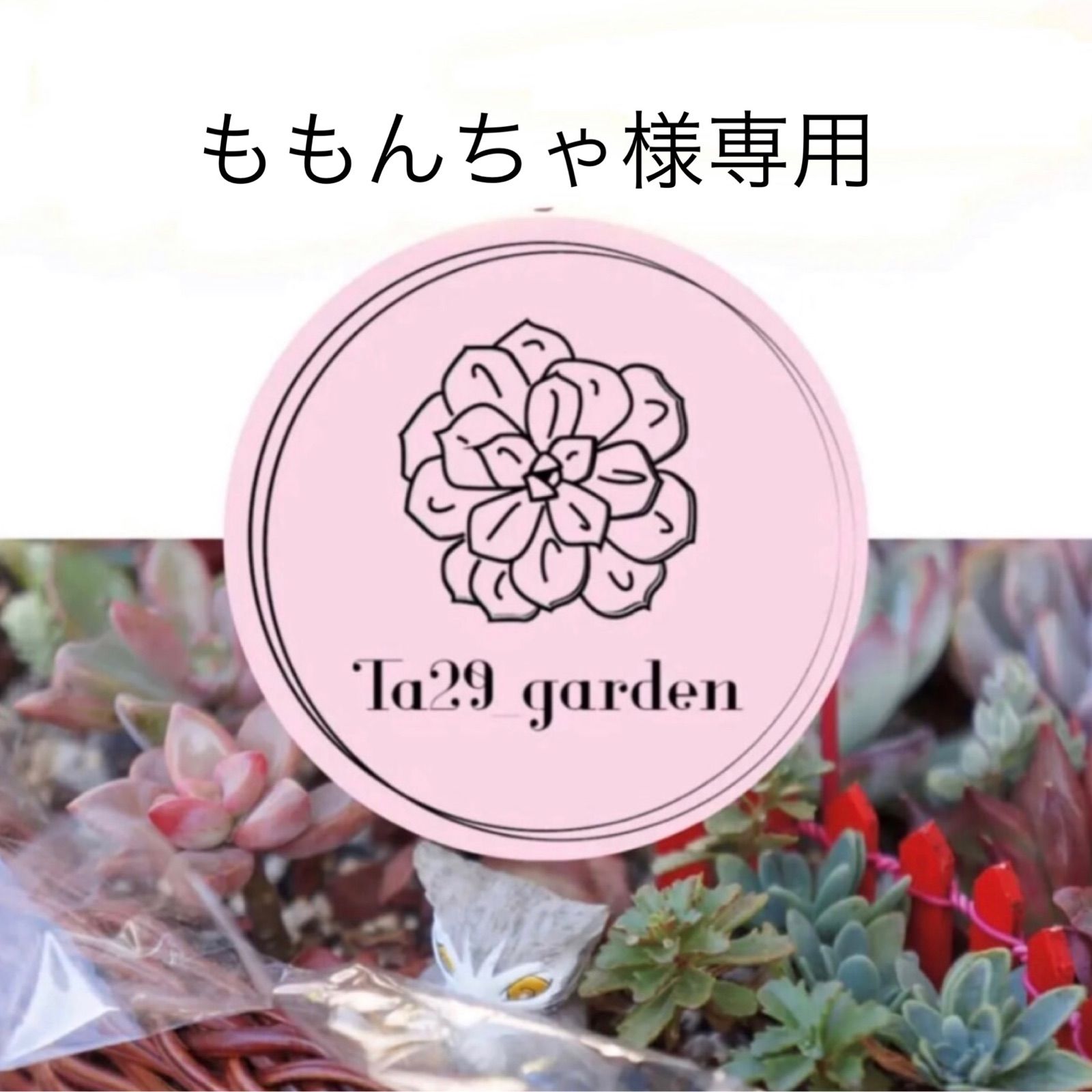 ももんちゃ様専用 - Ta29 garden - メルカリ