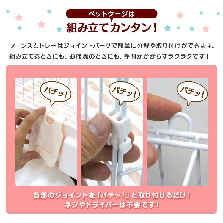 ウサギ