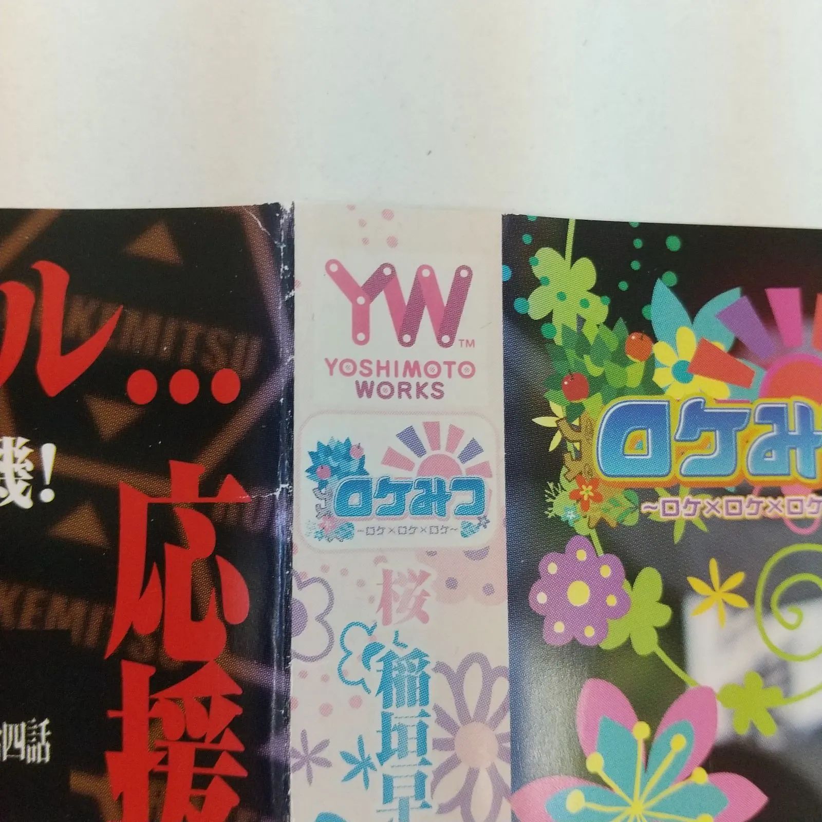 稲垣早希DVD 51BSBwWyhcL._UF350,350_QL50_.jpg