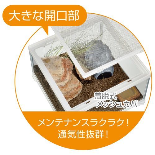 レオパ飼育キットM