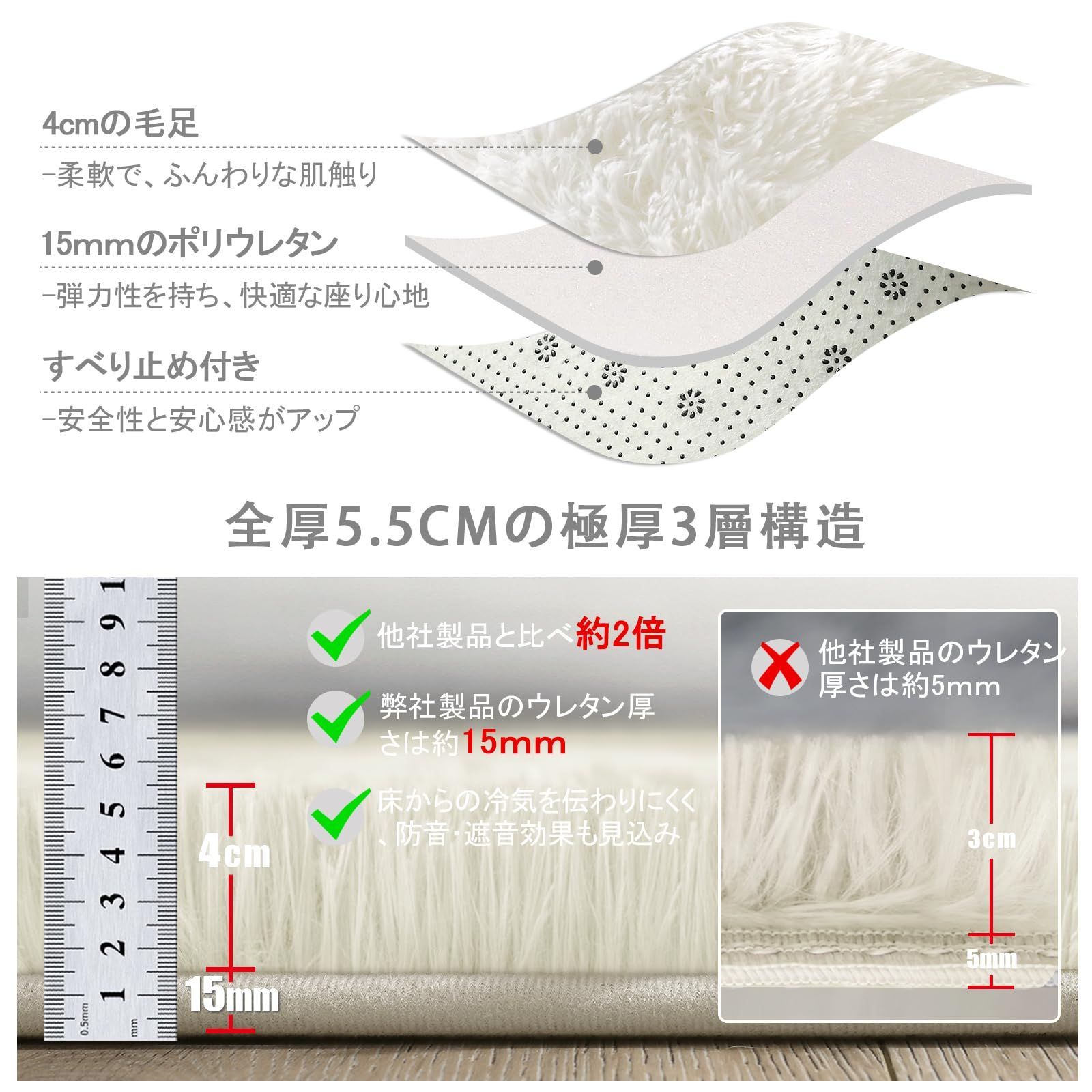 ブラック！アンモナイト ペルー産 白亜紀 リエリセラス腕足類