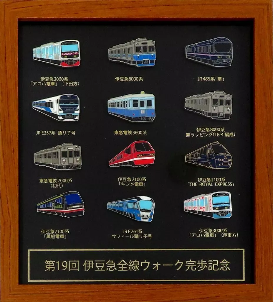 2026年最新】伊豆急 ピンバッジの人気アイテム - メルカリ