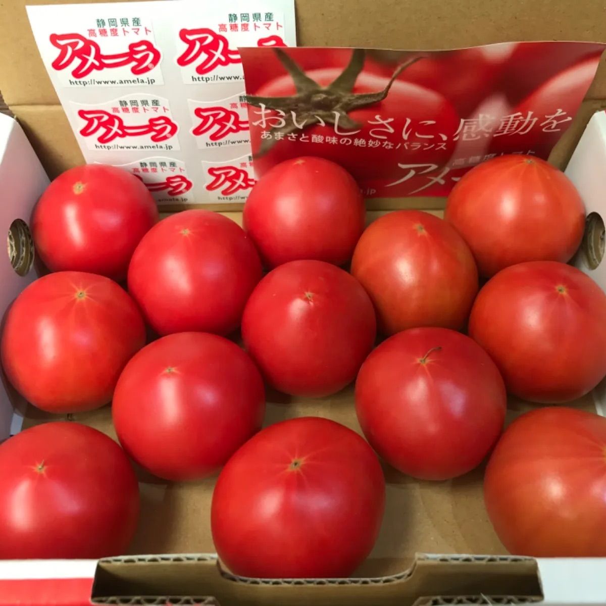 静岡県産 高糖度 フルーツトマト アメーラ 約1kg