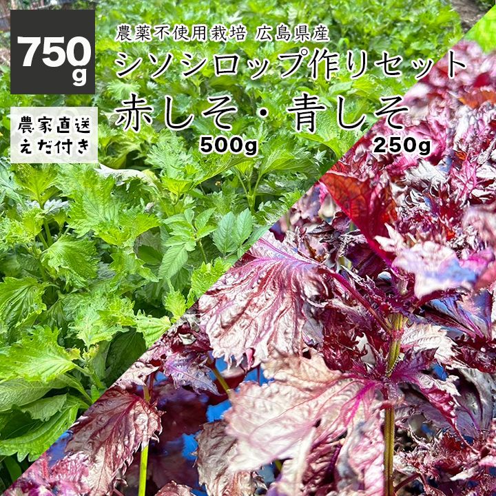 農薬不使用 しそシロップ作りセット 広島県産 赤しそ 500g / 青しそ250g 枝付き しげちゃんHappyファーム 農家直送 産地直送 送料無料  - メルカリ