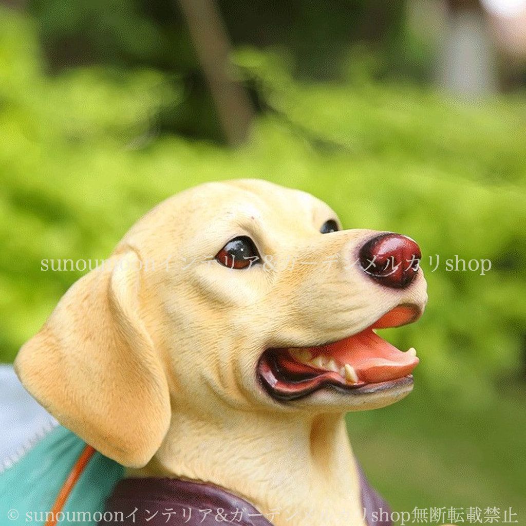 いぬ インテリア