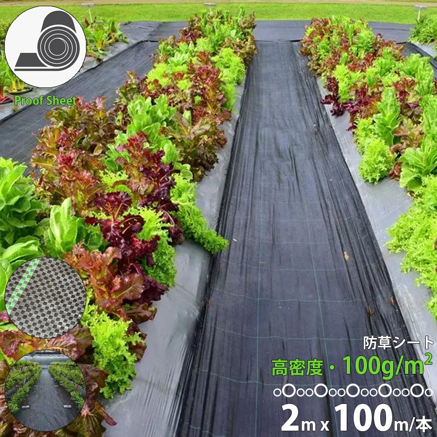 防草シート 2m×100m 100g|m2 高品質 農用シート 草よけシート 園芸用品 DIY お庭 除草シート 資材 ガーデニング 庭 田んぼ 畑 ハウス ライン入り 雑草抑制 砂利下 駐車場 家庭菜園 園芸用 区分100S NP-109