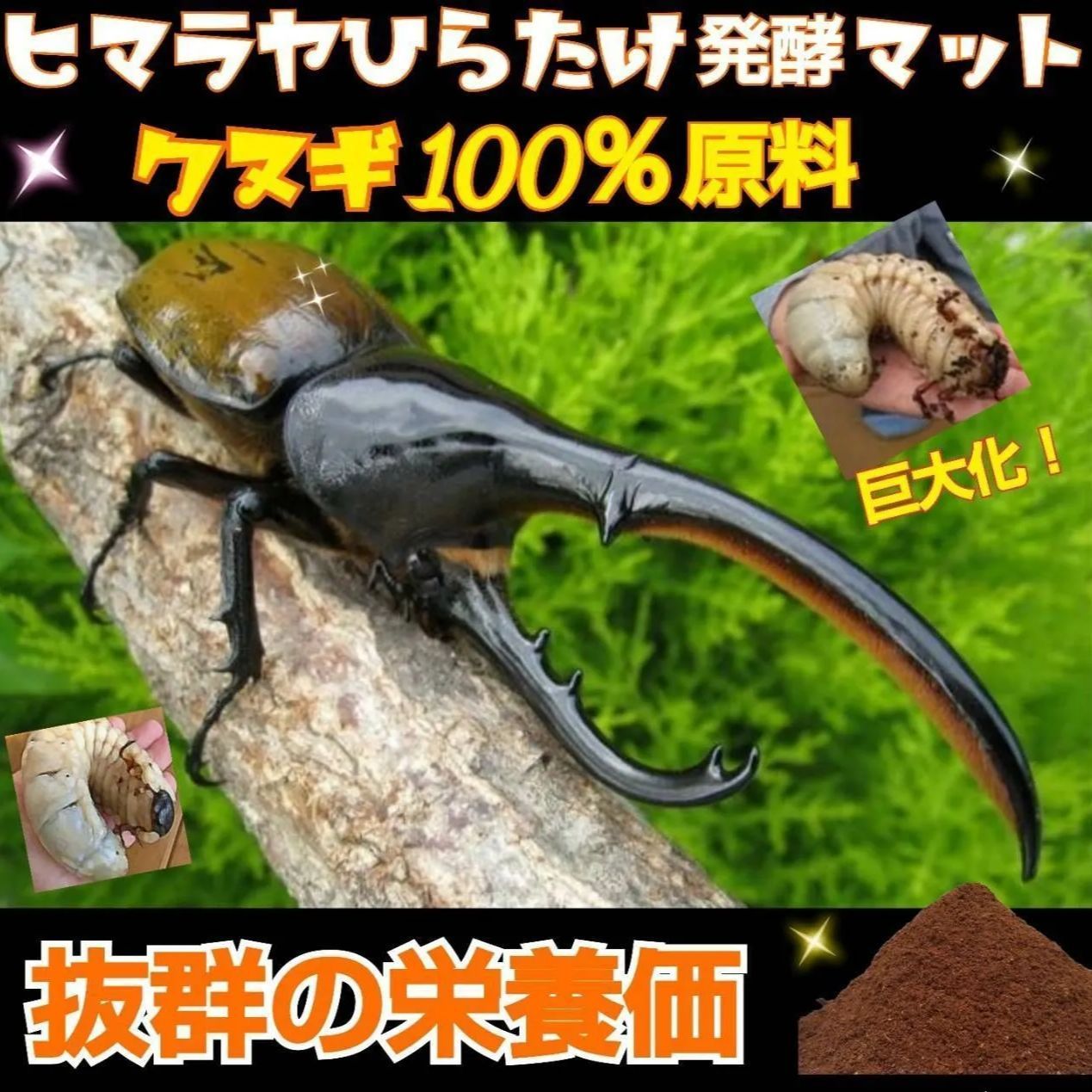 カブトムシ幼虫が大きくなる！ヒマラヤひらたけ発酵マット【3袋】雑虫