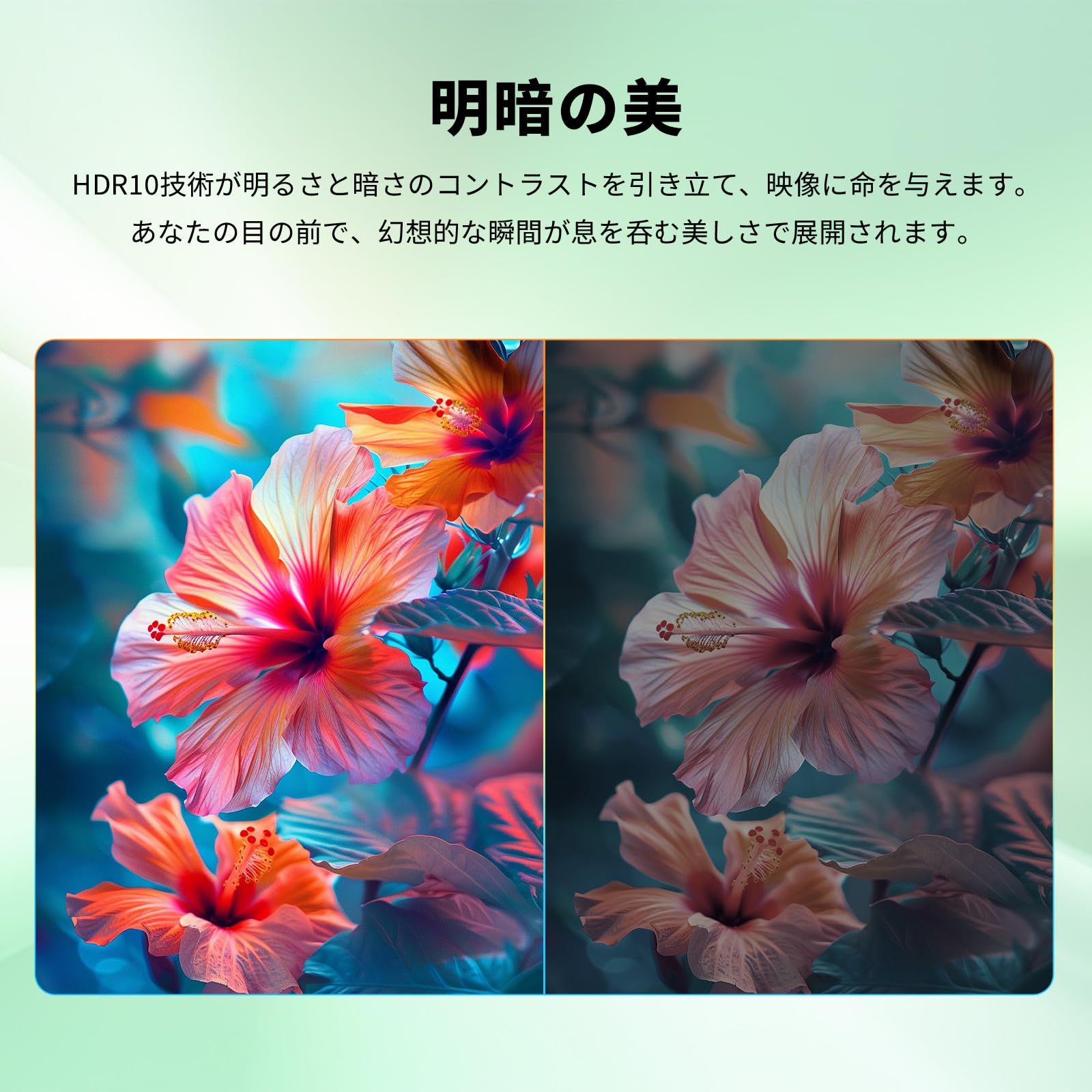 1300 1コントラスト