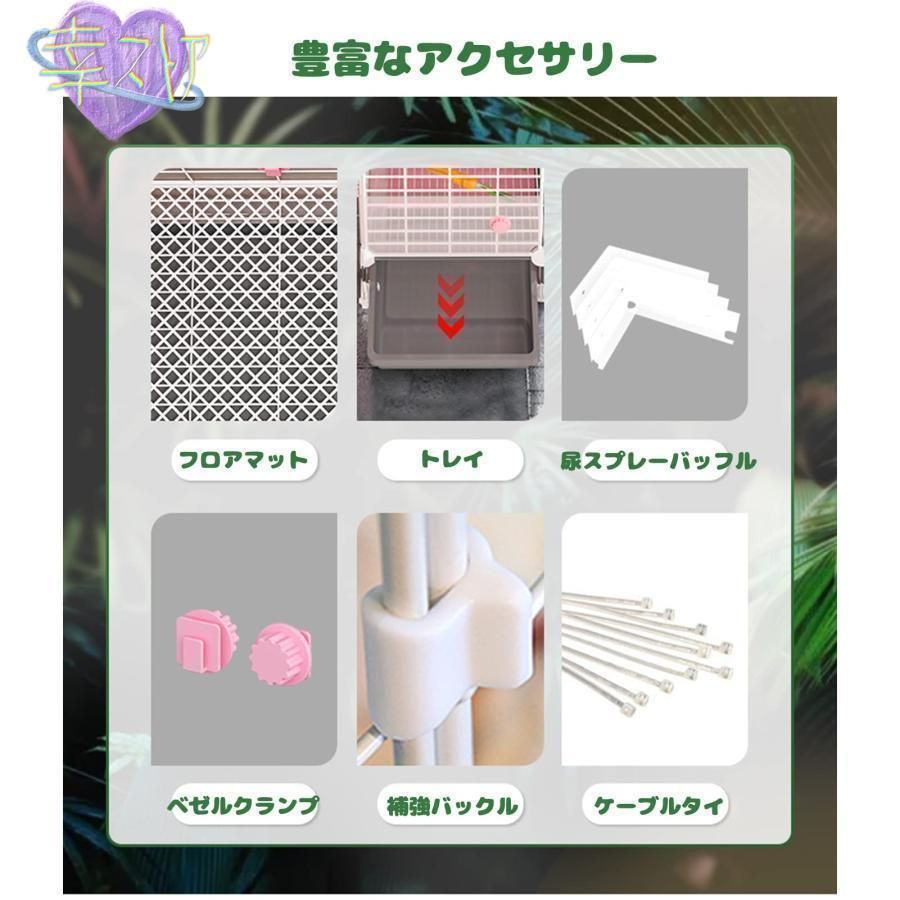 小動物 大きい兎