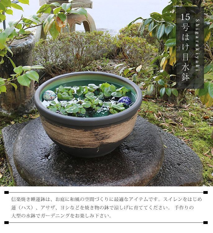 陶器 水鉢