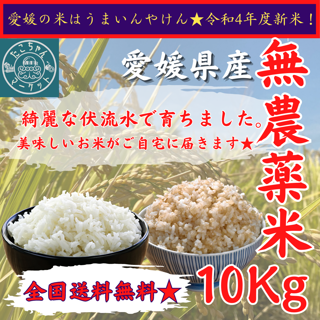 新米　農薬不使用　無農薬栽培　愛媛県産　きぬひかり　令和4年度　お米　20kg