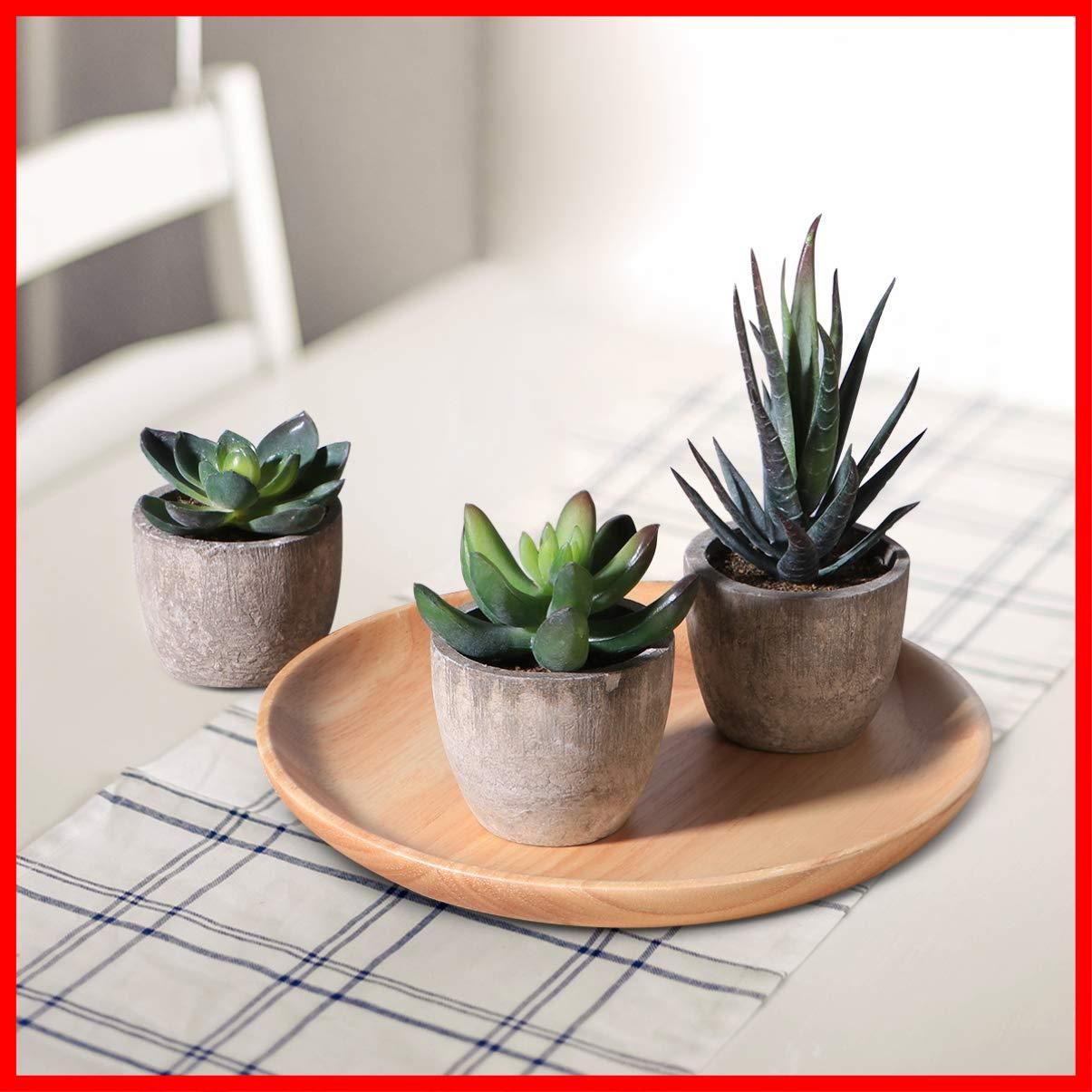 フェイクグリーン サボテン