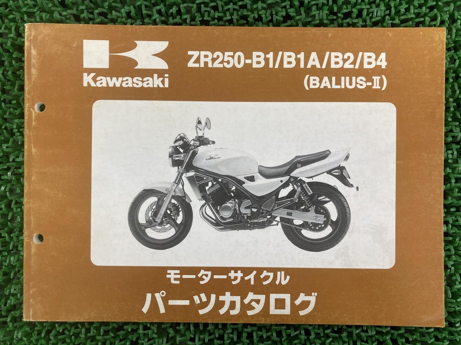 kawasakiバリオス250 1型 規制前A1 カワサキ（KAWASAKI） バリオス