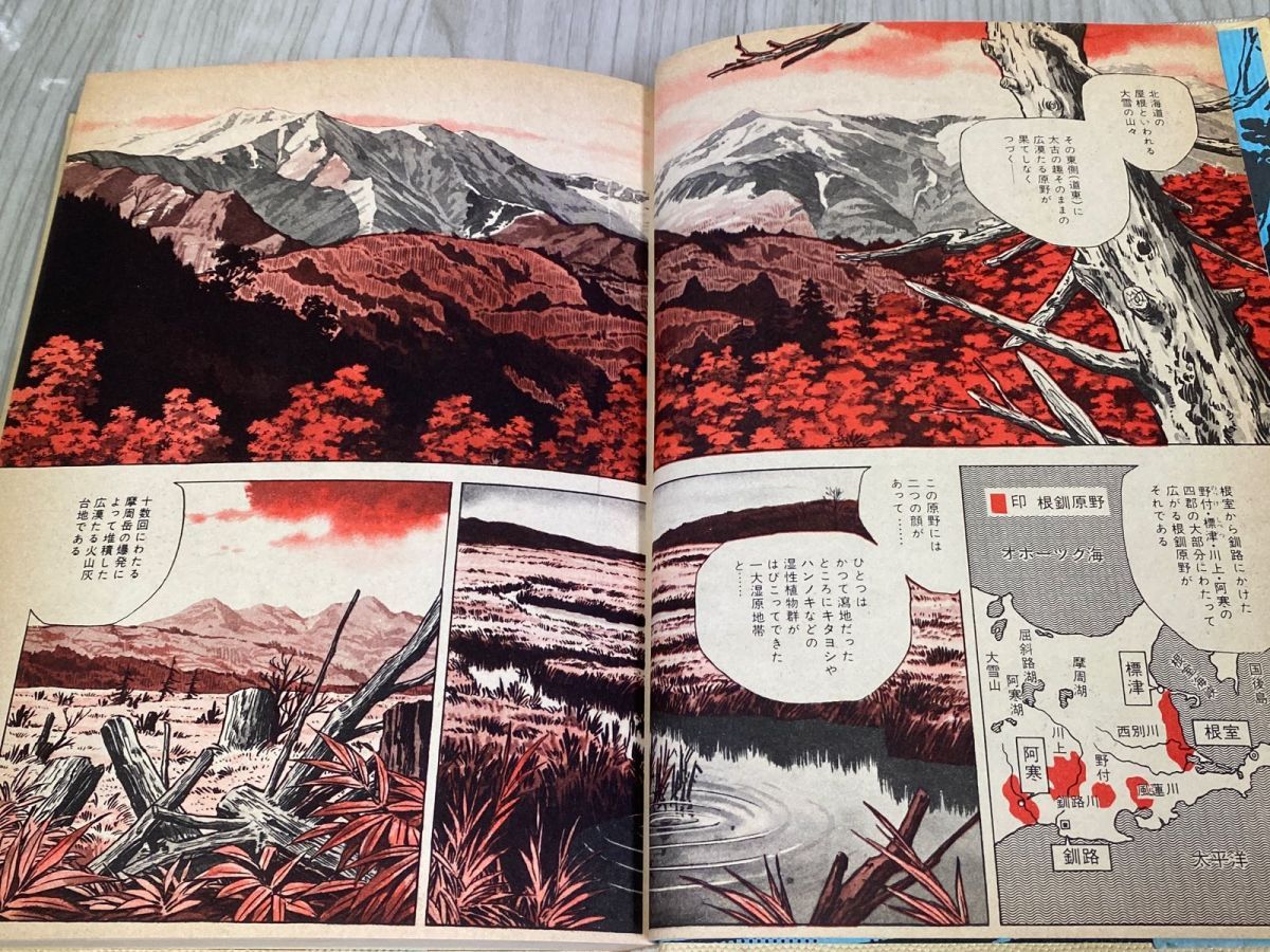 3-◇チライ・アパッポ 青林傑作シリーズ 28 矢口高雄 1981年 1月 初版 昭和56年 青林堂 帯付き 3-◇チライ・アパッポ 青林傑作シリーズ 28 矢口高雄 1981年 1月