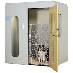 わんだぁルーム