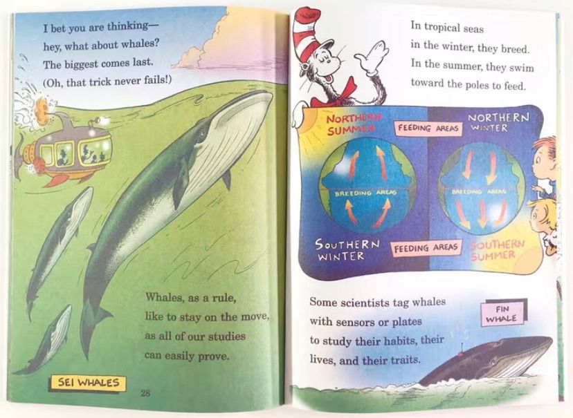 Dr.Seuss 人気英語絵本 33冊 全冊音源付 マイヤペン対応 - メルカリ