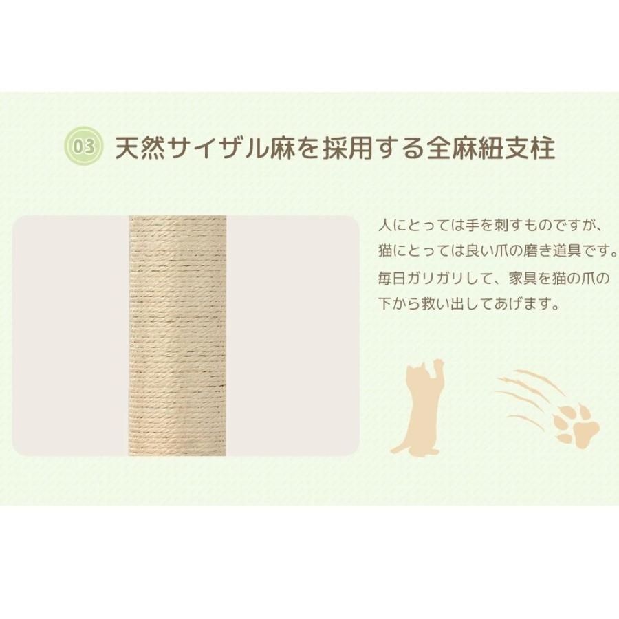 麻紐 多頭飼い